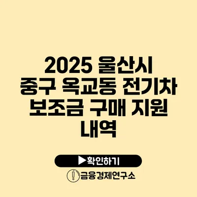 2025 울산시 중구 옥교동 전기차 보조금 구매 지원 내역