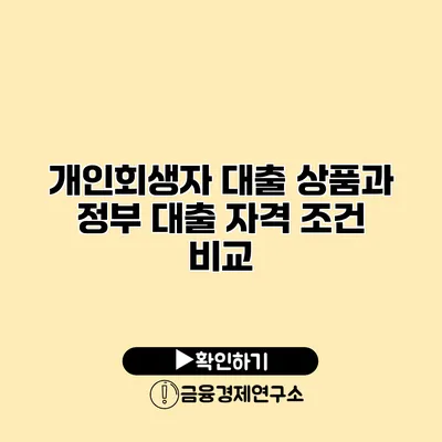 개인회생자 대출 상품과 정부 대출 자격 조건 비교