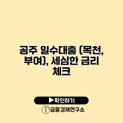 공주 일수대출 (목천, 부여), 세심한 금리 체크