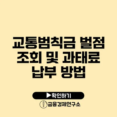 교통범칙금 벌점 조회 및 과태료 납부 방법