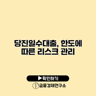 당진일수대출, 한도에 따른 리스크 관리