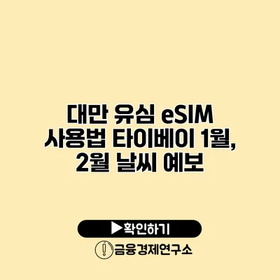 대만 유심 eSIM 사용법 타이베이 1월, 2월 날씨 예보