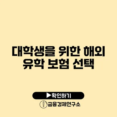 대학생을 위한 해외 유학 보험 선택