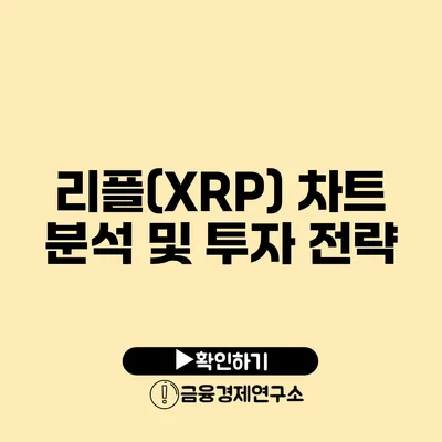 리플(XRP) 차트 분석 및 투자 전략