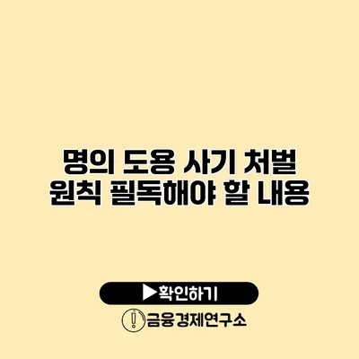 명의 도용 사기 처벌 원칙 필독해야 할 내용