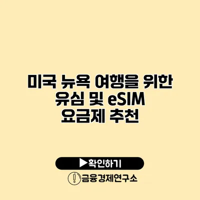 미국 뉴욕 여행을 위한 유심 및 eSIM 요금제 추천