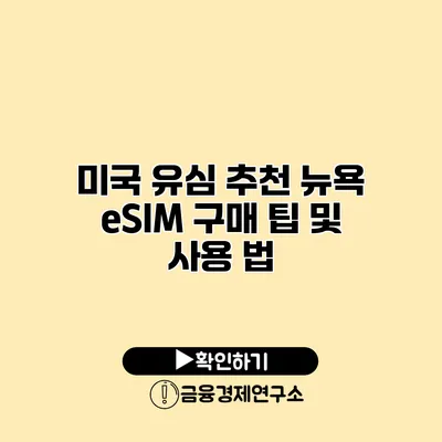 미국 유심 추천 뉴욕 eSIM 구매 팁 및 사용 법