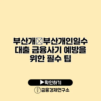 부산개�부산개인일수 대출 금융사기 예방을 위한 필수 팁