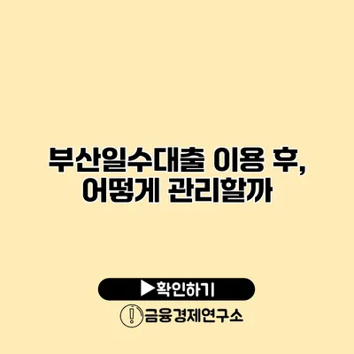 부산일수대출 이용 후, 어떻게 관리할까?