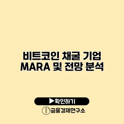 비트코인 채굴 기업 MARA 및 전망 분석