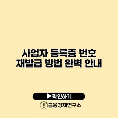 사업자 등록증 번호 재발급 방법 완벽 안내