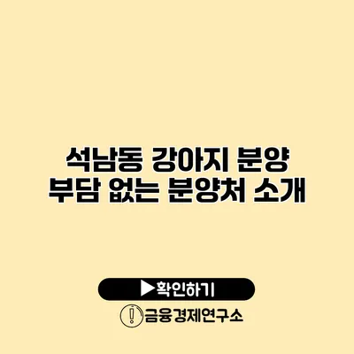 석남동 강아지 분양 부담 없는 분양처 소개