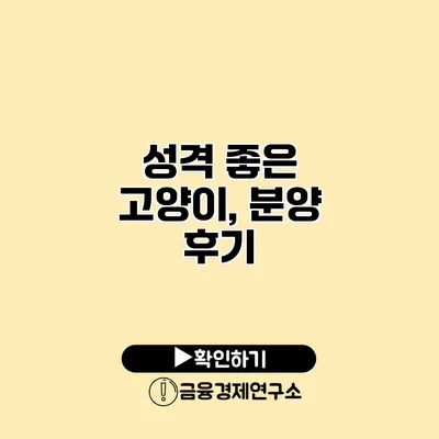 성격 좋은 고양이, 분양 후기