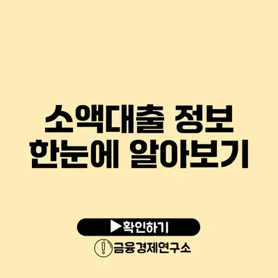 소액대출 정보 한눈에 알아보기