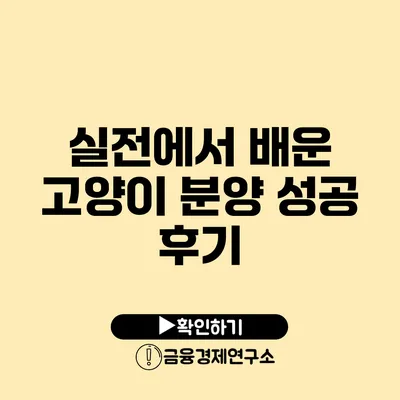 실전에서 배운 고양이 분양 성공 후기