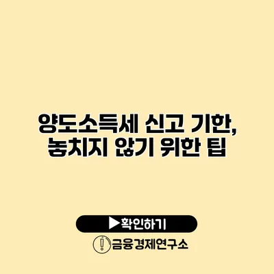 양도소득세 신고 기한, 놓치지 않기 위한 팁