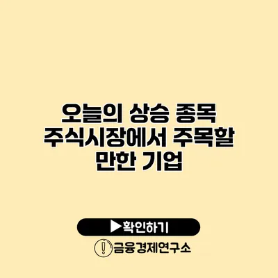 오늘의 상승 종목 주식시장에서 주목할 만한 기업