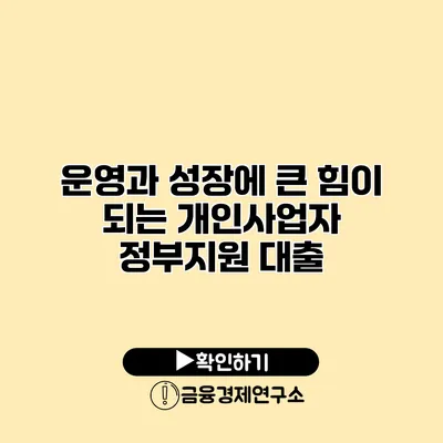 운영과 성장에 큰 힘이 되는 개인사업자 정부지원 대출