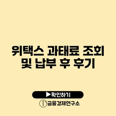 위택스 과태료 조회 및 납부 후 후기