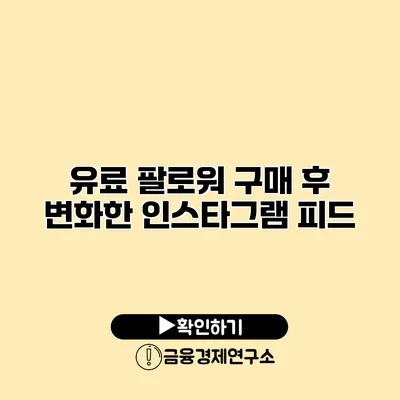 유료 팔로워 구매 후 변화한 인스타그램 피드