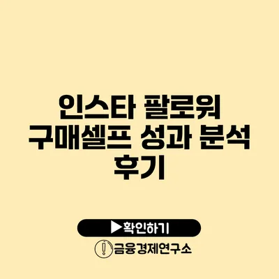 인스타 팔로워 구매셀프 성과 분석 후기