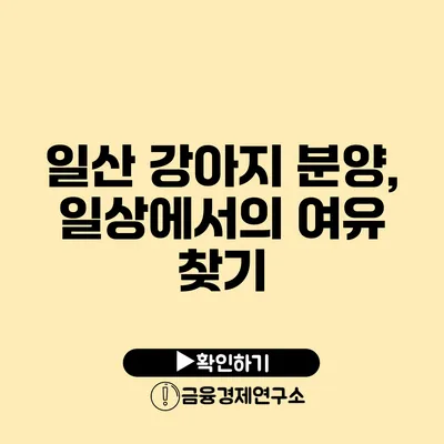 일산 강아지 분양, 일상에서의 여유 찾기