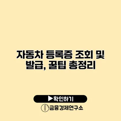 자동차 등록증 조회 및 발급, 꿀팁 총정리