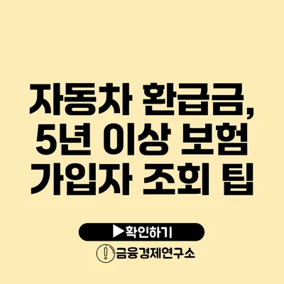 자동차 환급금, 5년 이상 보험 가입자 조회 팁