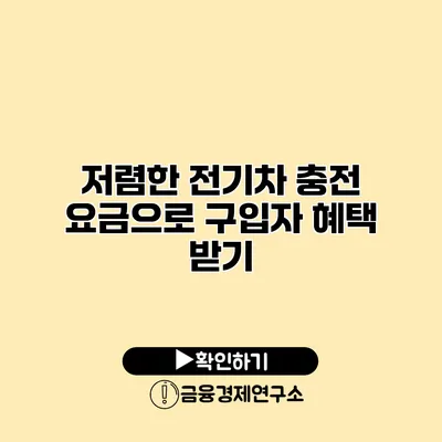 저렴한 전기차 충전 요금으로 구입자 혜택 받기