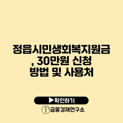 정읍시민생회복지원금, 30만원 신청 방법 및 사용처