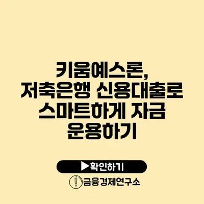키움예스론, 저축은행 신용대출로 스마트하게 자금 운용하기