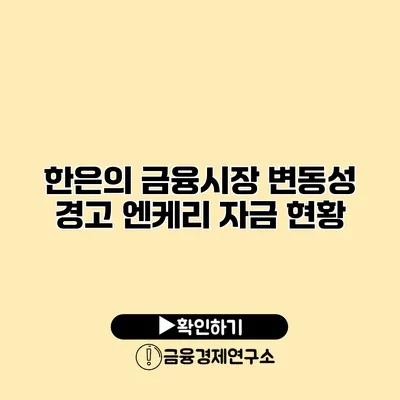 한은의 금융시장 변동성 경고 엔케리 자금 현황