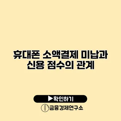 휴대폰 소액결제 미납과 신용 점수의 관계