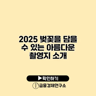 2025 벚꽃을 담을 수 있는 아름다운 촬영지 소개