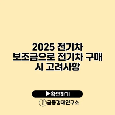 2025 전기차 보조금으로 전기차 구매 시 고려사항