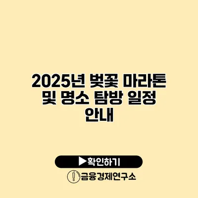 2025년 벚꽃 마라톤 및 명소 탐방 일정 안내
