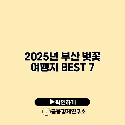 2025년 부산 벚꽃 여행지 BEST 7