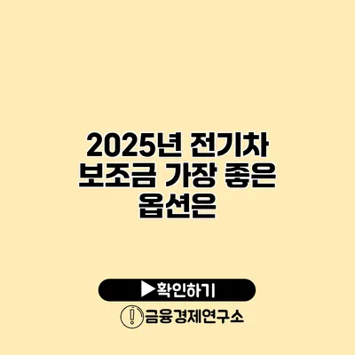 2025년 전기차 보조금 가장 좋은 옵션은?