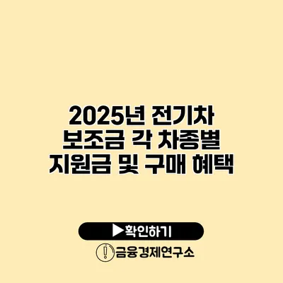 2025년 전기차 보조금 각 차종별 지원금 및 구매 혜택