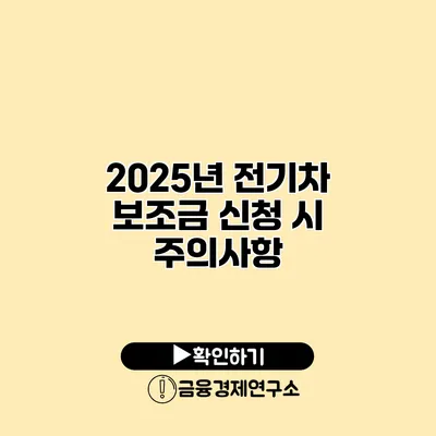2025년 전기차 보조금 신청 시 주의사항