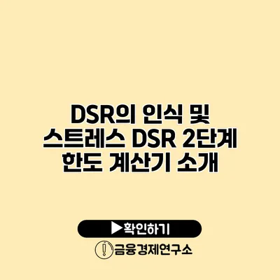 DSR의 인식 및 스트레스 DSR 2단계 한도 계산기 소개