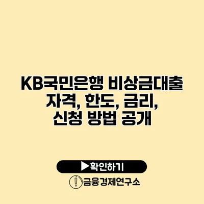 KB국민은행 비상금대출 자격, 한도, 금리, 신청 방법 공개