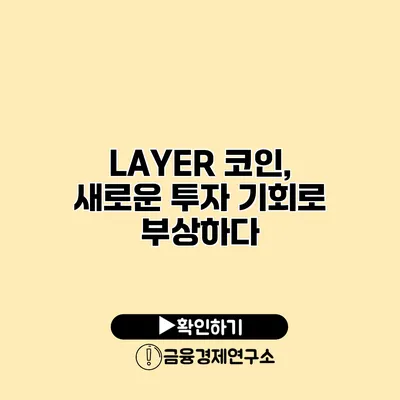 LAYER 코인, 새로운 투자 기회로 부상하다
