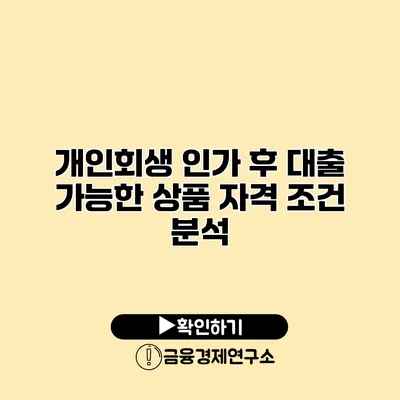 개인회생 인가 후 대출 가능한 상품 자격 조건 분석