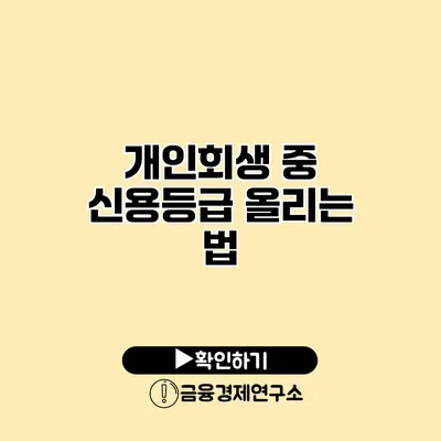 개인회생 중 신용등급 올리는 법