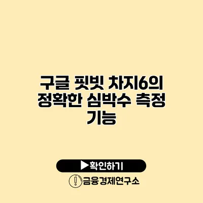 구글 핏빗 차지6의 정확한 심박수 측정 기능