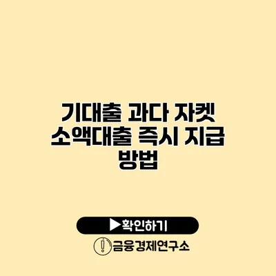 기대출 과다 자켓 소액대출 즉시 지급 방법