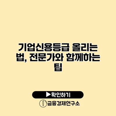 기업신용등급 올리는 법, 전문가와 함께하는 팁