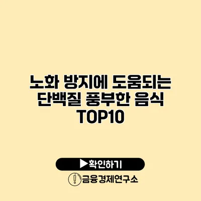 노화 방지에 도움되는 단백질 풍부한 음식 TOP10