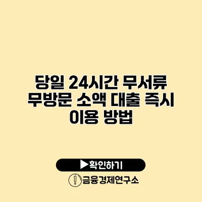 당일 24시간 무서류 무방문 소액 대출 즉시 이용 방법